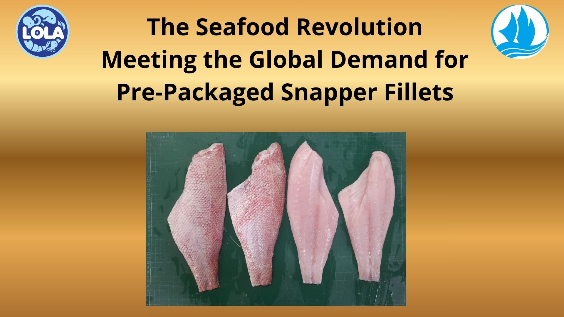  The Seafood Revolution Meeting the Global Demand for Pre-Packaged Snapper Fillets